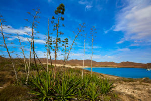 playa-los-genoveses-almeria