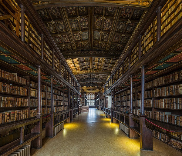 Las bibliotecas más bonitas del mundo, a un clic y desde casa 2 Las bibliotecas más bonitas del mundo, a un clic y desde casa 1