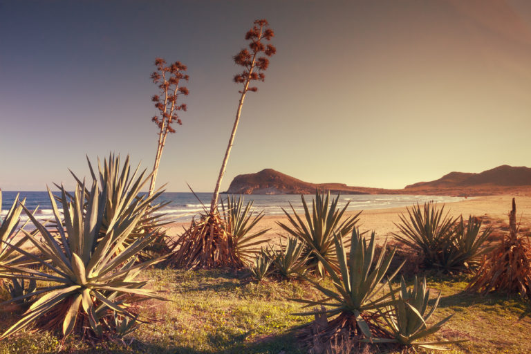 ¿Por qué vivir cerca del mar nos hace más felices? 10