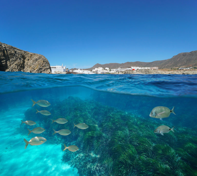 Las mejores actividades para disfrutar de Cabo de Gata 7